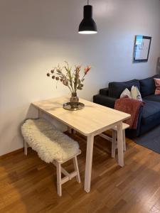 Arctic Nest - cozy 40m2 apartment and parking in Rovaniemi