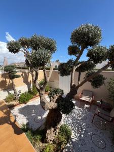 Luxury Holiday Townhouse with Pool II Casa Macarena 02