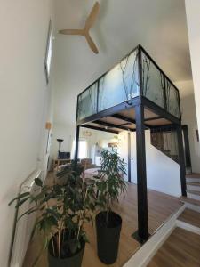 La chouette paisible