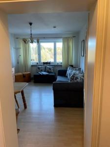 Sky bed and wood stove appartment