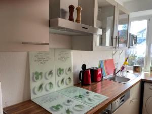 Sky bed and wood stove appartment