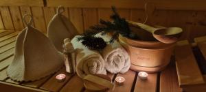 Zielone Wzgórza - Centrum Soliny - SPA