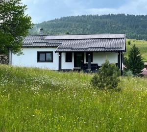 Casa Ranio - 3hvězdičkové hotely ve městě Topliţa