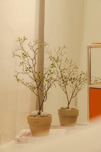 홍대 라라스테이