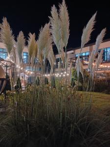 Patio Pool Villa - Apartmány, Kjongdžu