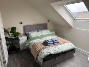 The Cottontail - Modern Private Room With Breakfast - Tamworth