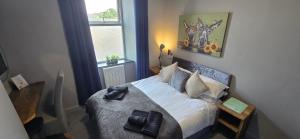 Cysgu Dda - Sleep Well