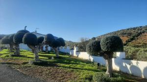 La sombrerera