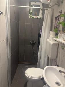 Bohemian Rhapsody low ground studio