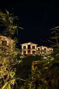Lotus Luxury Resort