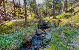 Gorgeous Home In Dingle With Wifi