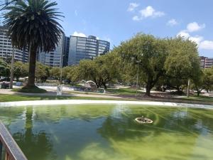 402 El Jardín Apartamento La Carolina Quito