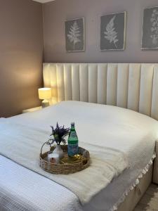 Apartment Strasbourg 7 Guests, 10 min City Center