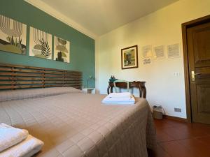 Home Sweet Home Affittacamere - Lucca