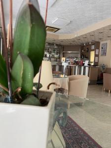 Hotel Ristorante Mommo