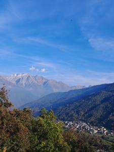 residenza " Il Gufetto"