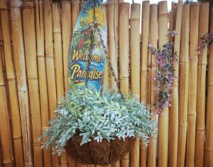 Maison de Charme en couleurs