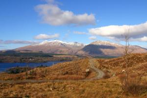 Riverside Cottage B&B