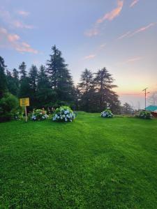 Forest Vibes Kalatop-Rooms And Restaurant
