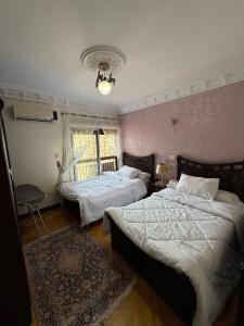 Nilefront Apartment in Maadi