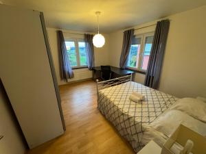 Green escape - Sunset & nature