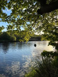 The Grove Lodge Guesthouse