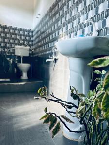 Oak & olive homestay