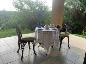 PRIVATE SPACE Just you and the Birds with PRIVATE INFINITY POOL