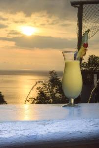 Tayrona Colors Hostel