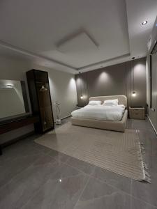 شقق فاخرة العقيق