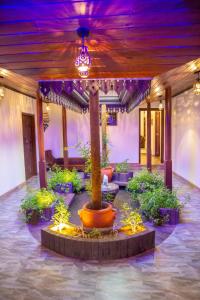 Sea Turtles Boutique Bungalow