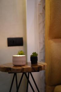 Le 146 - Art of Living