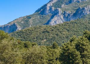 City Center 5 - Ruby Nest Apartments Tirana