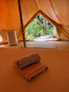 Shamalay - Nomad Experience