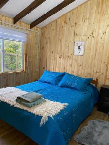 Cabañita Ten Ten Vilú