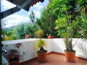 Escapada de Lujo en Ajijic Habitaciónes Privadas con Baño vistas Alberca Montañas