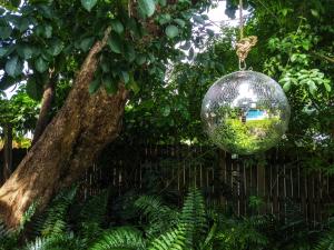 Casa del Ojo- Heated Pool - 3 King beds