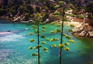 STUDIO climatisé CÔTE BLEUE 13