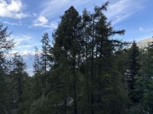 Grand studio 6 personnes avec Wifi, skis aux pieds, balcon aux Orres - FR-1-322-693
