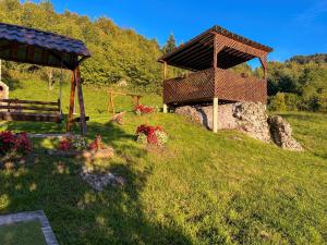 Cabana "Tăul Brazi"