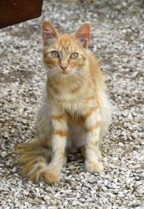 Agriturismo Pira Pinta img80