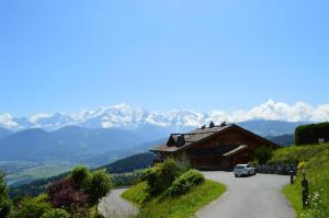 La Joubarbe au Balcon du Mont-Blanc photo 12