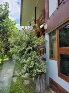 Coco farm stay Suanphueng