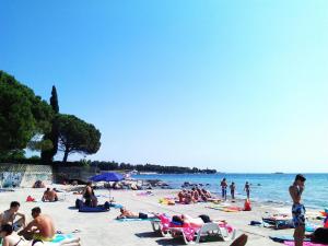 Holiday Home Dario 