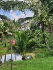 Coco farm stay Suanphueng