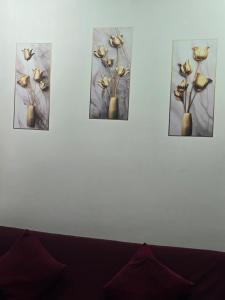 Resting View