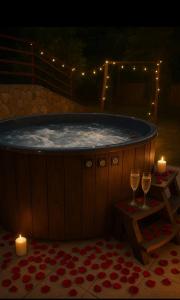 Pensiunea Casuta cu Trandafiri 2