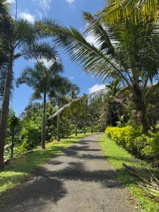 Thoppil Homestay Munnar