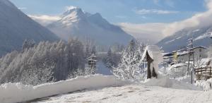 Stubai Apartment Telfes