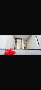 Villa Alya